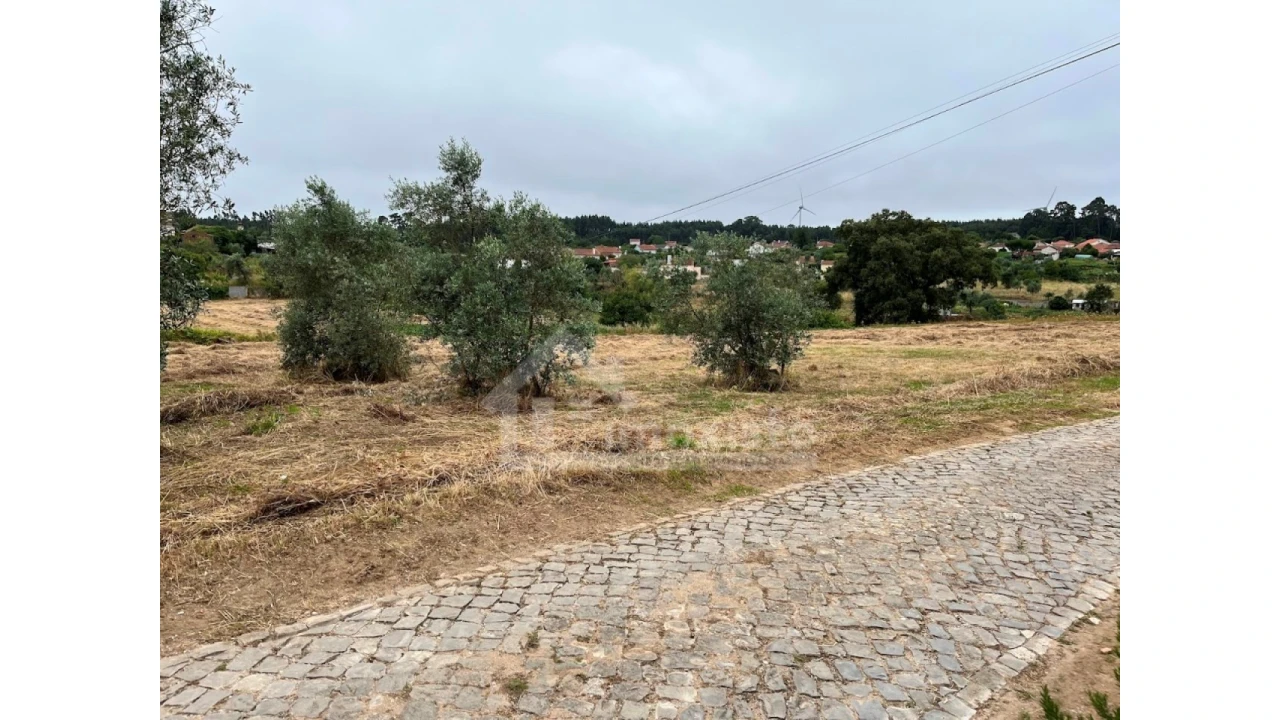 Terreno Agricola ou Rústico para Venda em Arega Foto 9