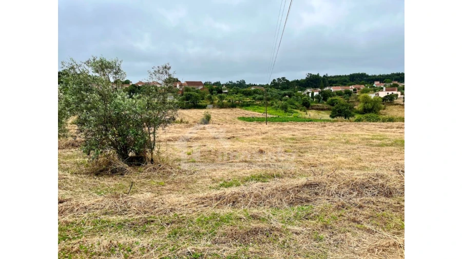 Terreno Agricola ou Rústico para Venda em Arega Foto 2