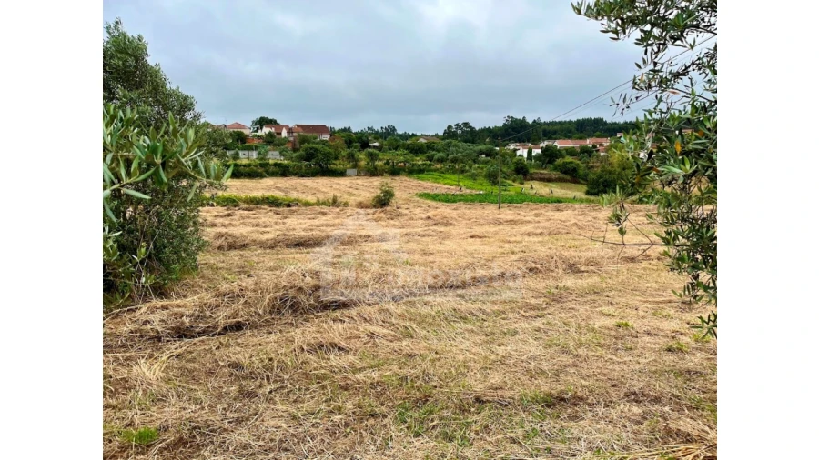 Terreno Agricola ou Rústico para Venda em Arega Foto 3