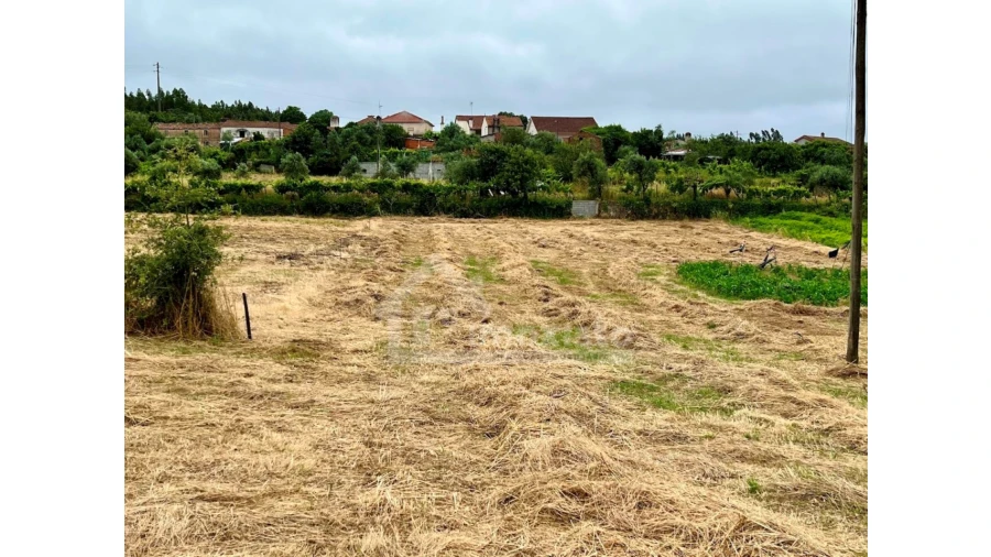 Terreno Agricola ou Rústico para Venda em Arega Foto 4