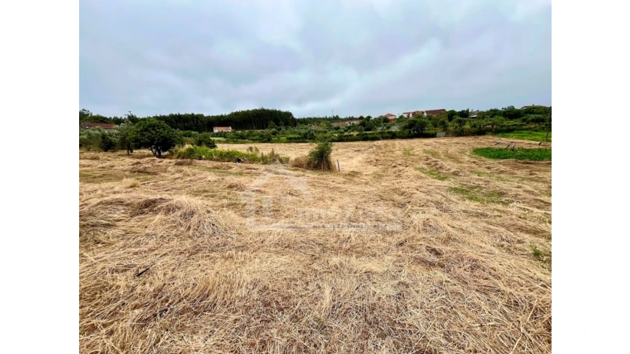 Terreno Agricola ou Rústico para Venda em Arega Foto 7