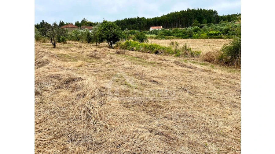 Terreno Agricola ou Rústico para Venda em Arega Foto 8