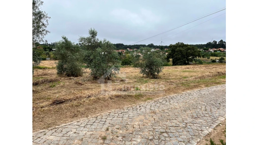 Terreno Agricola ou Rústico para Venda em Arega Foto 9