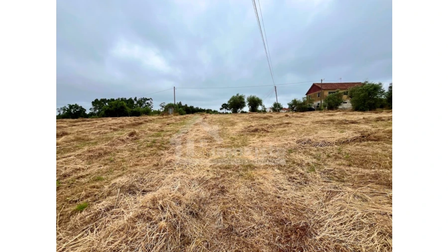 Terreno Agricola ou Rústico para Venda em Arega Foto 10