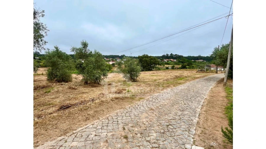 Terreno Agricola ou Rústico para Venda em Arega Foto 11