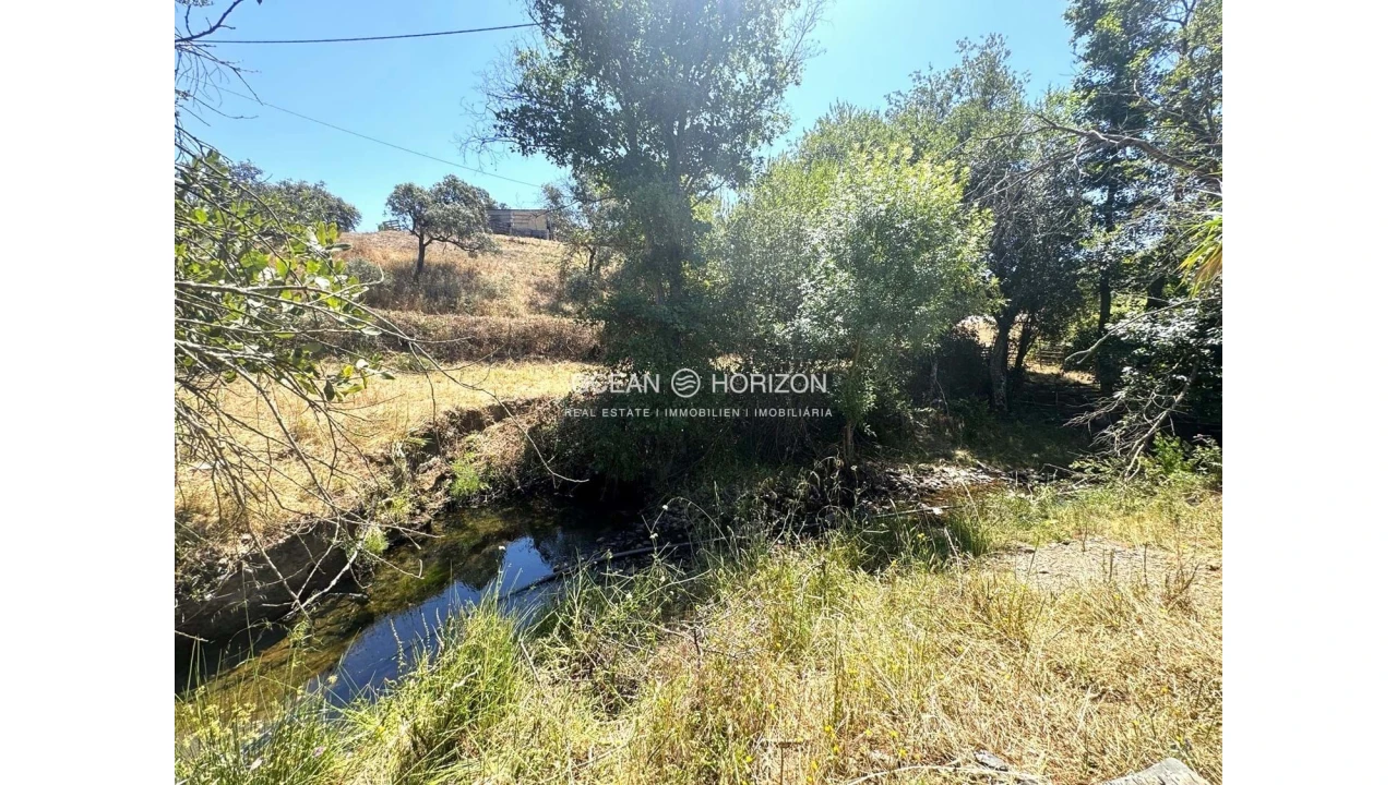 Terreno para Venda em Saboia Foto 15