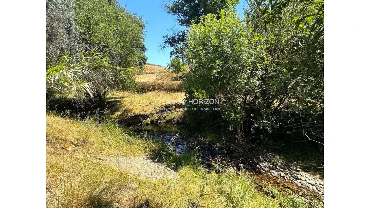 Terreno para Venda em Saboia Foto 14