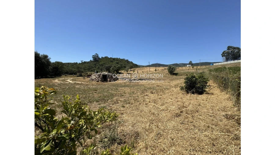 Terreno para Venda em Saboia Foto 21