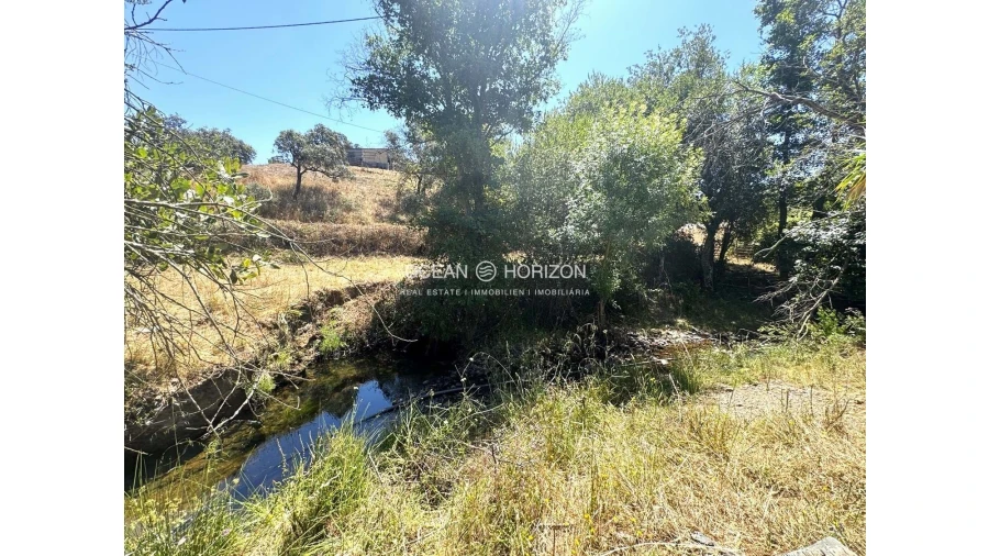 Terreno para Venda em Saboia Foto 15