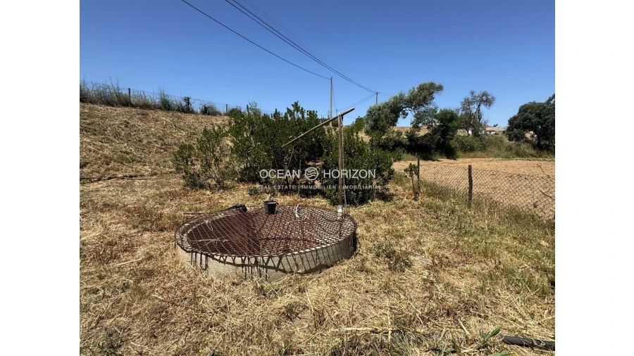 Terreno para Venda em Saboia Foto 16
