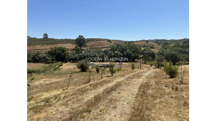 Terreno para Venda em Saboia Foto 18