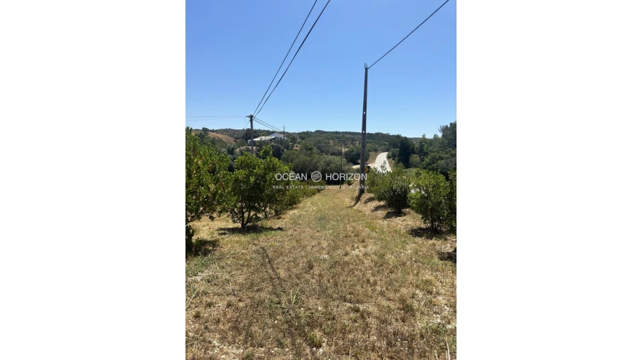 Terreno para Venda em Saboia Foto 12