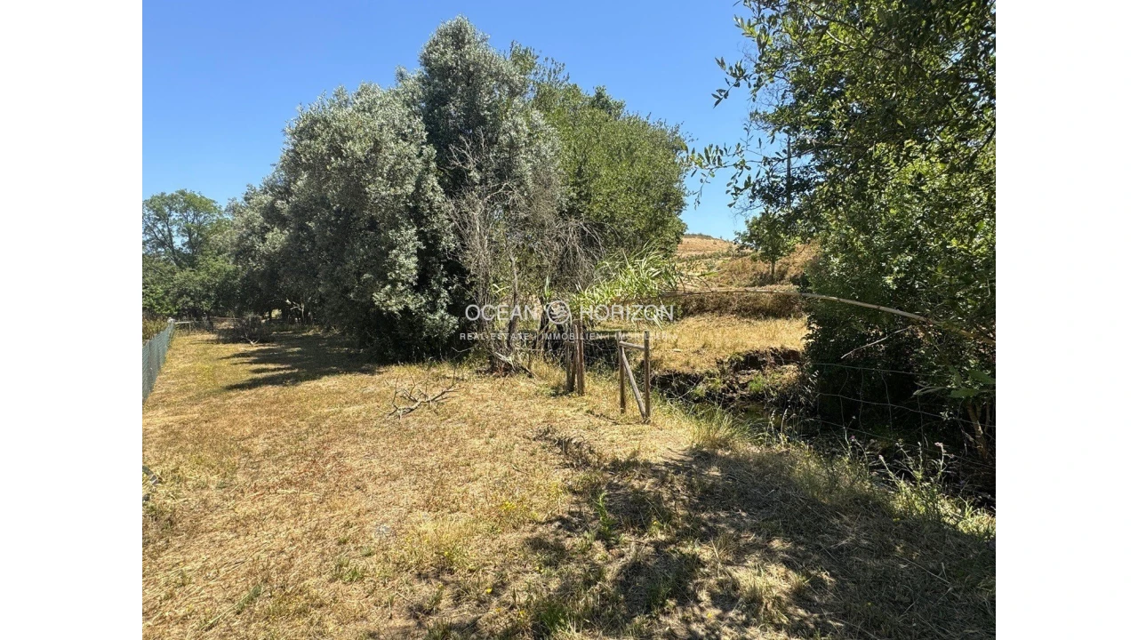 Terreno para Venda em Saboia Foto 13