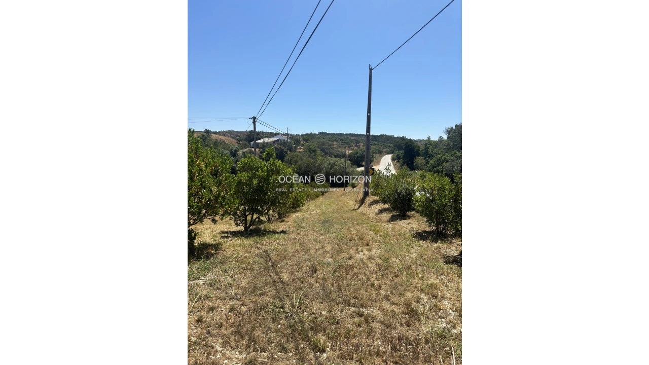 Terreno para Venda em Saboia Foto 12