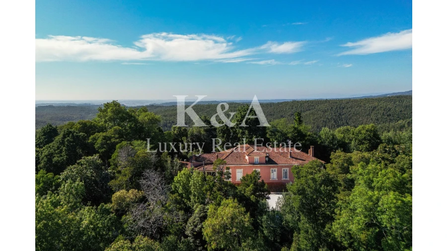 Quinta T9 para Venda em Luso Foto 10