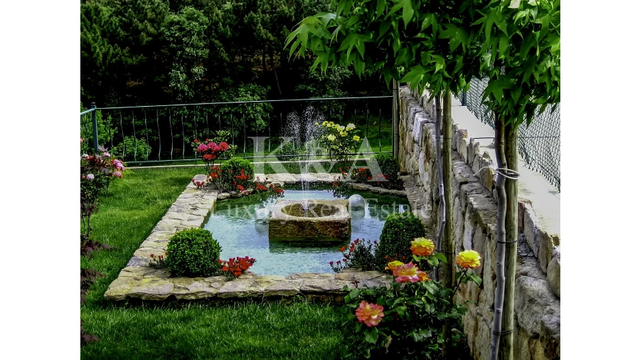 Quinta T0 para Venda em Vale de Anta Foto 4