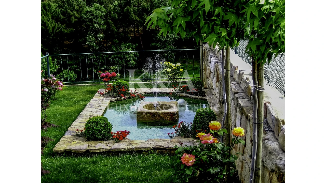 Quinta T0 para Venda em Vale de Anta Foto 4