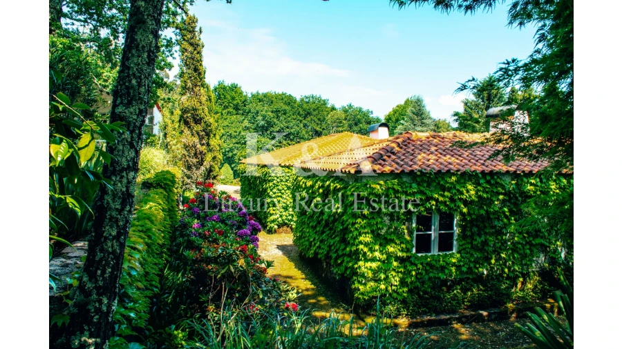 Quinta T6 para Venda em Mentrestido Foto 11