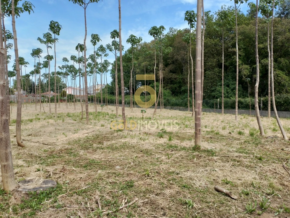 Terreno para Venda em Argoncilhe Foto 1