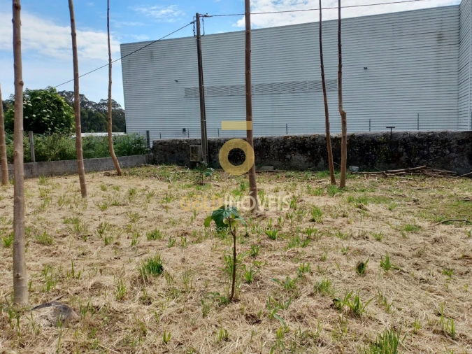 Terreno para Venda em Argoncilhe Foto 4