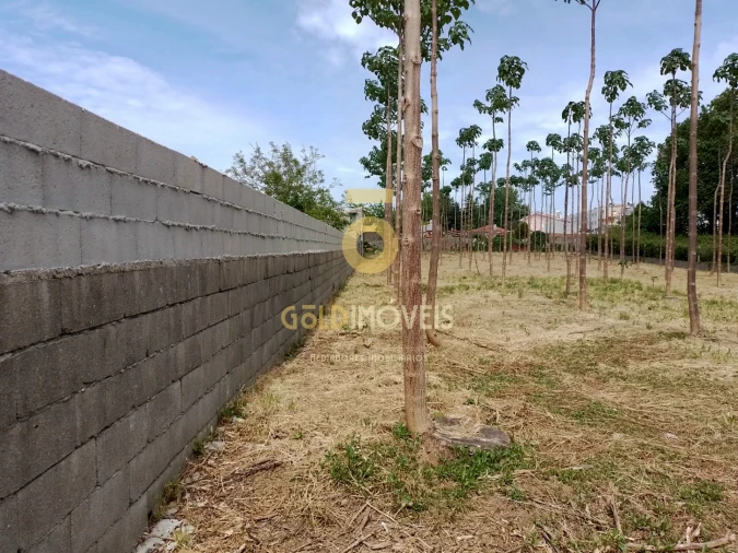 Terreno para Venda em Argoncilhe Foto 6