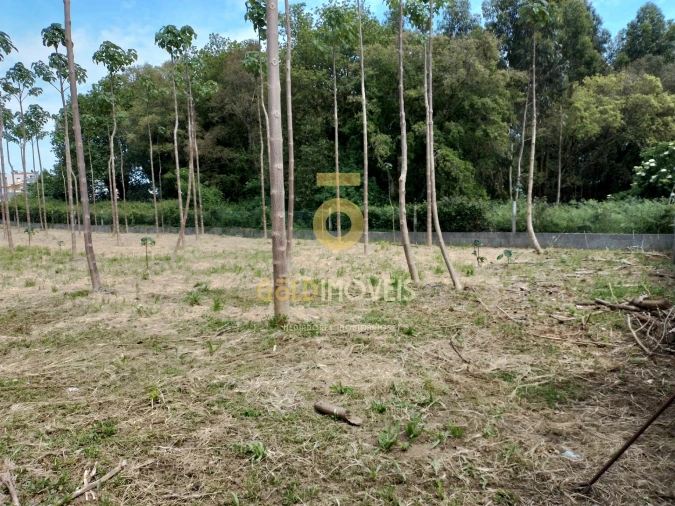 Terreno para Venda em Argoncilhe Foto 7