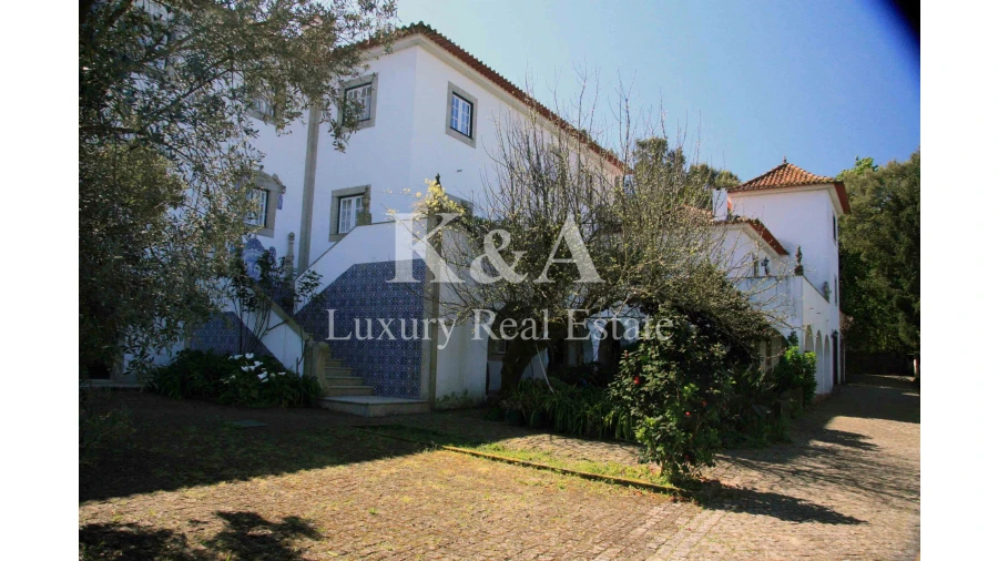 Quinta T5 para Venda em Galegos