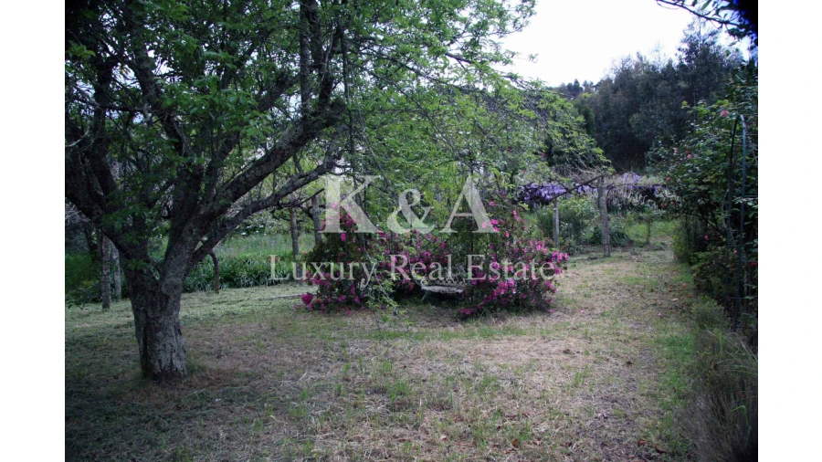 Quinta T5 para Venda em Galegos Foto 11