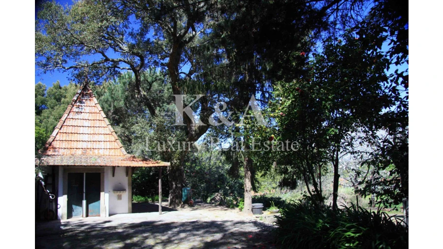 Quinta T5 para Venda em Galegos Foto 8