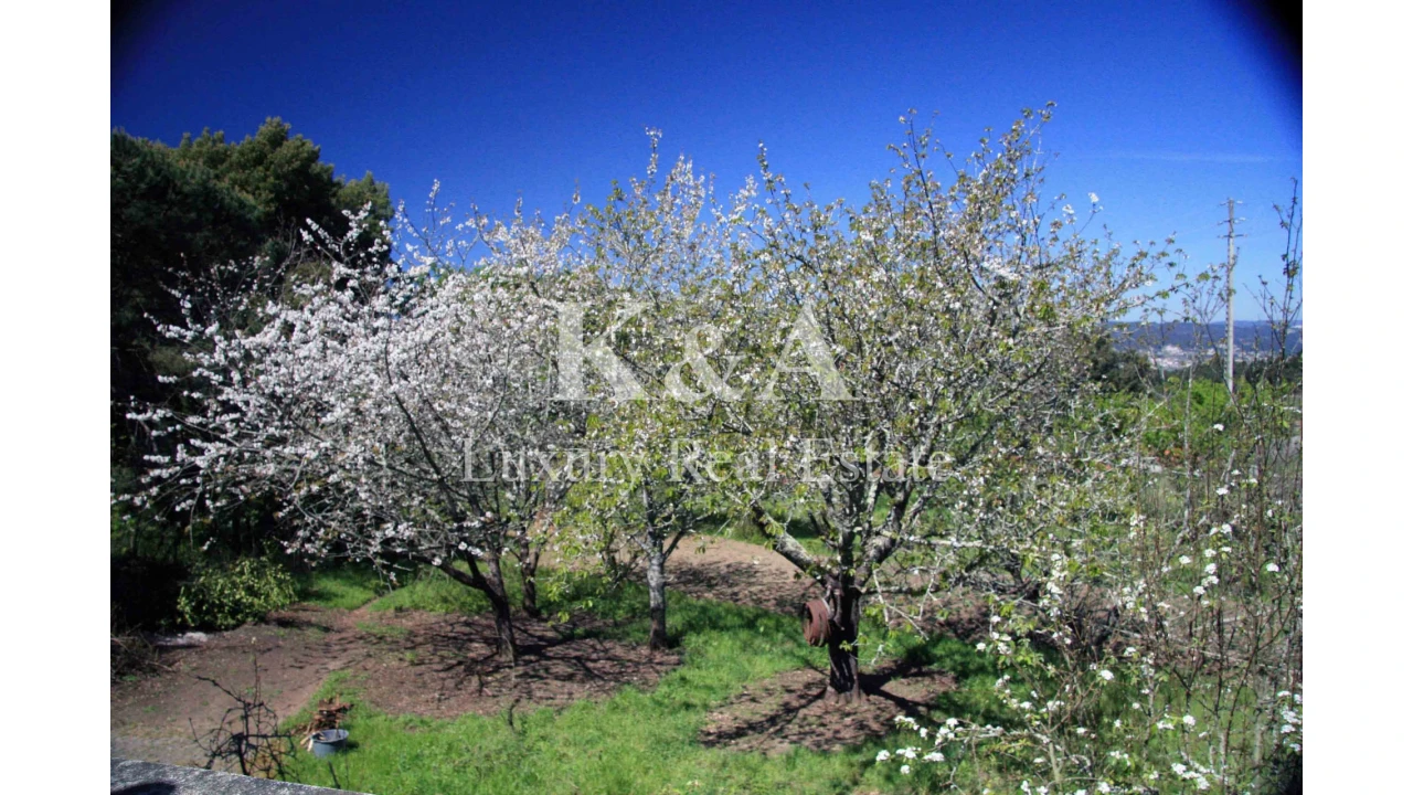 Quinta T5 para Venda em Galegos Foto 10