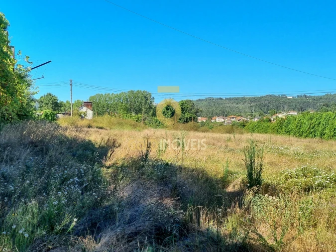 Terreno Agricola ou Rústico para Venda em Travanca Foto 2