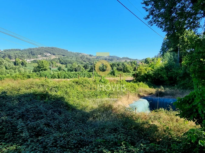 Terreno Agricola ou Rústico para Venda em Travanca Foto 1