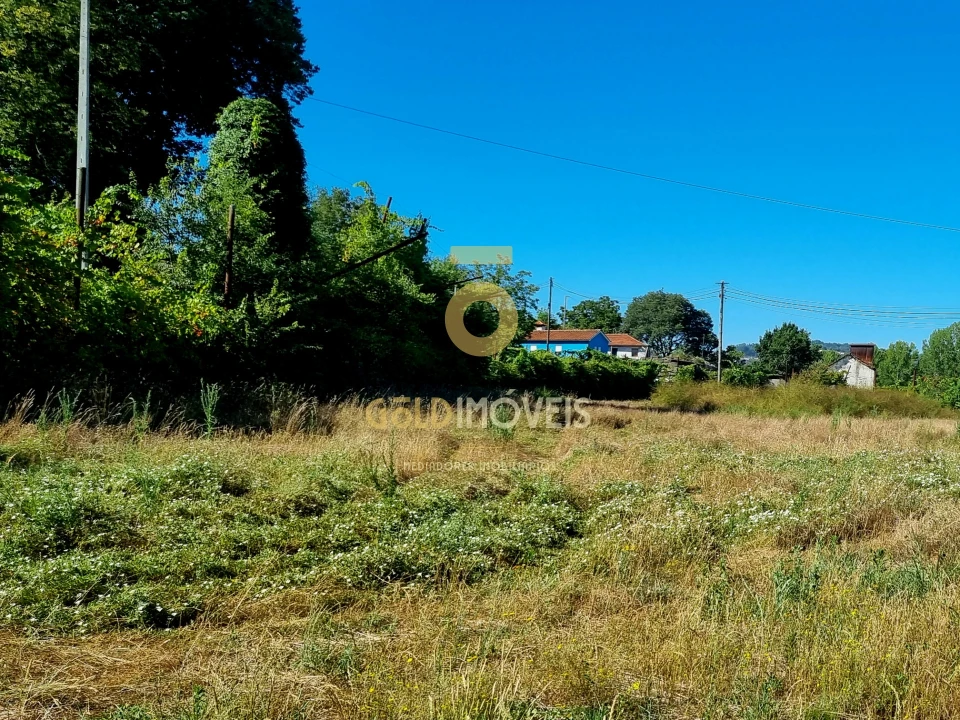 Terreno Agricola ou Rústico para Venda em Travanca Foto 3