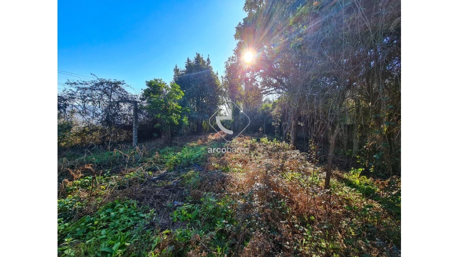 Quinta T5 para Venda em Vale Foto 29