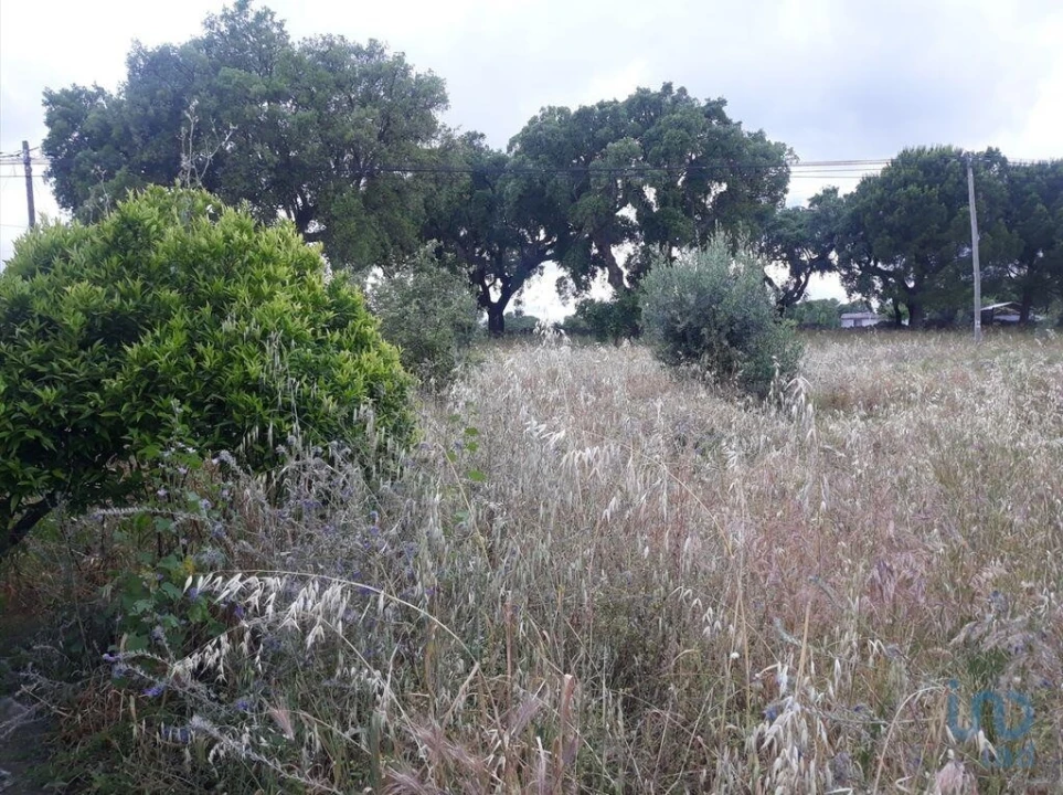 Moradia T2 para Venda em Urra Foto 8