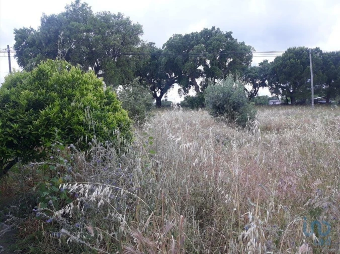 Moradia T2 para Venda em Urra Foto 8