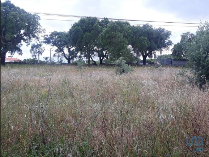 Moradia T2 para Venda em Urra Foto 11