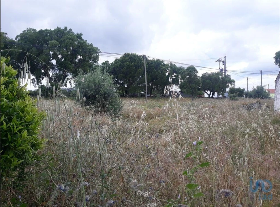 Moradia T2 para Venda em Urra Foto 9