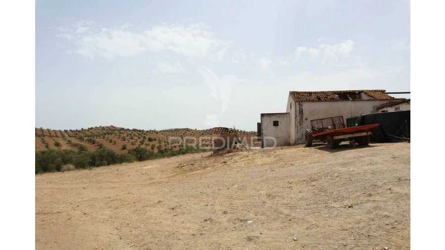 Quinta T3 para Venda em Castro Marim Foto 15