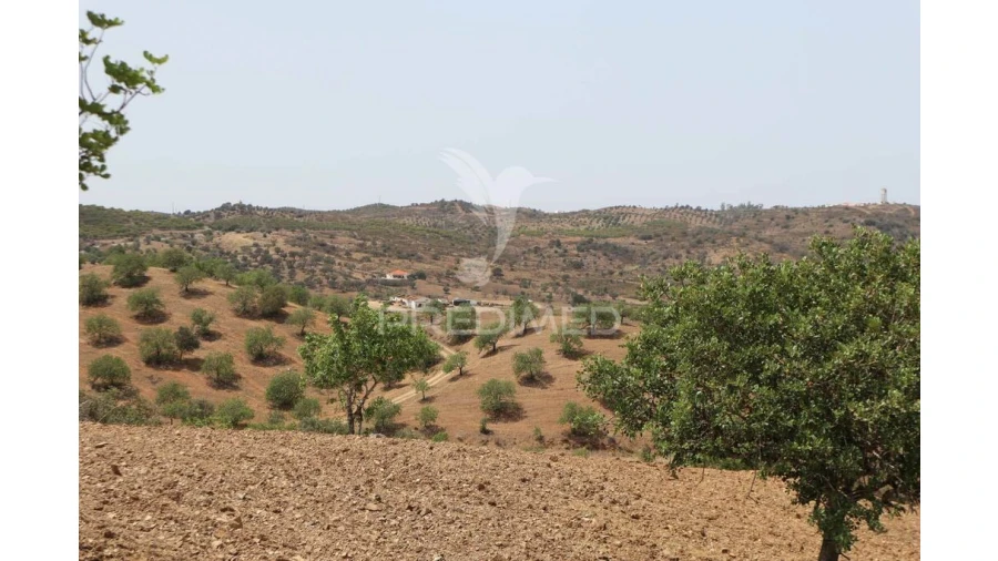 Quinta T3 para Venda em Castro Marim Foto 10