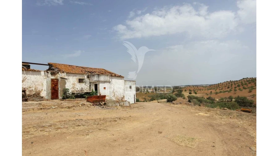 Quinta T3 para Venda em Castro Marim Foto 13