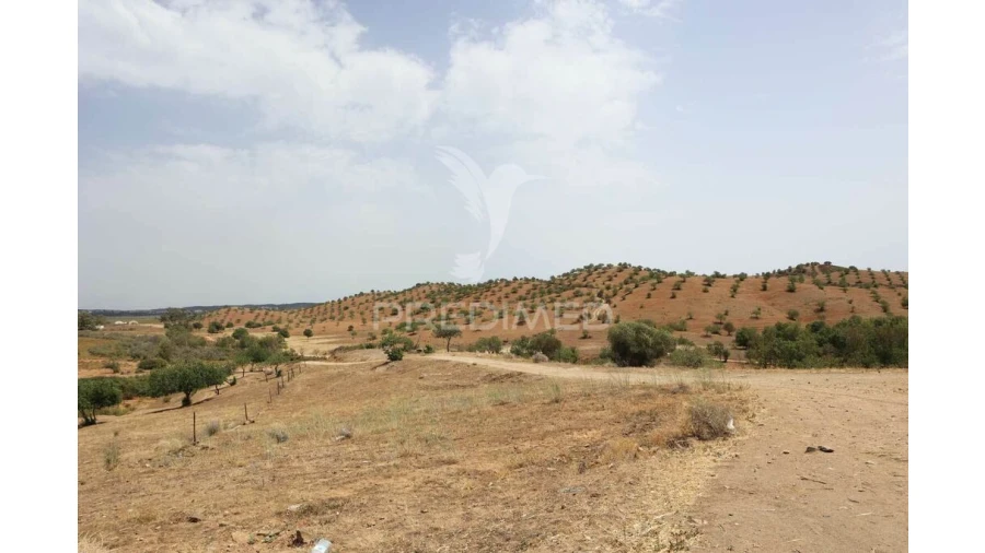 Quinta T3 para Venda em Castro Marim Foto 18