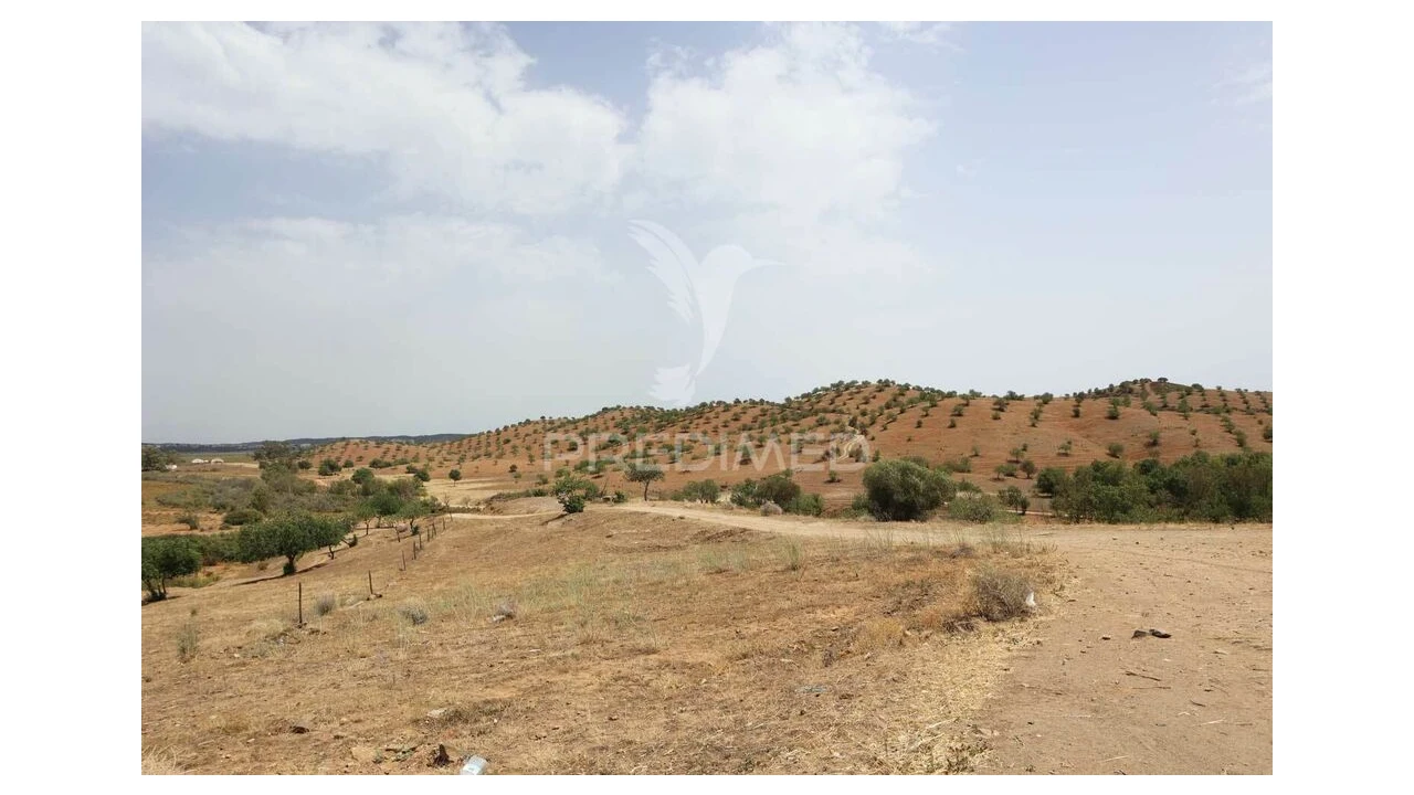 Quinta T3 para Venda em Castro Marim Foto 18