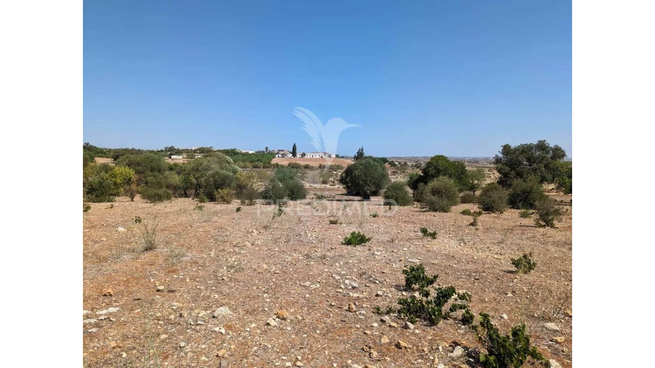 Quinta T9 para Venda em Castro Marim Foto 19