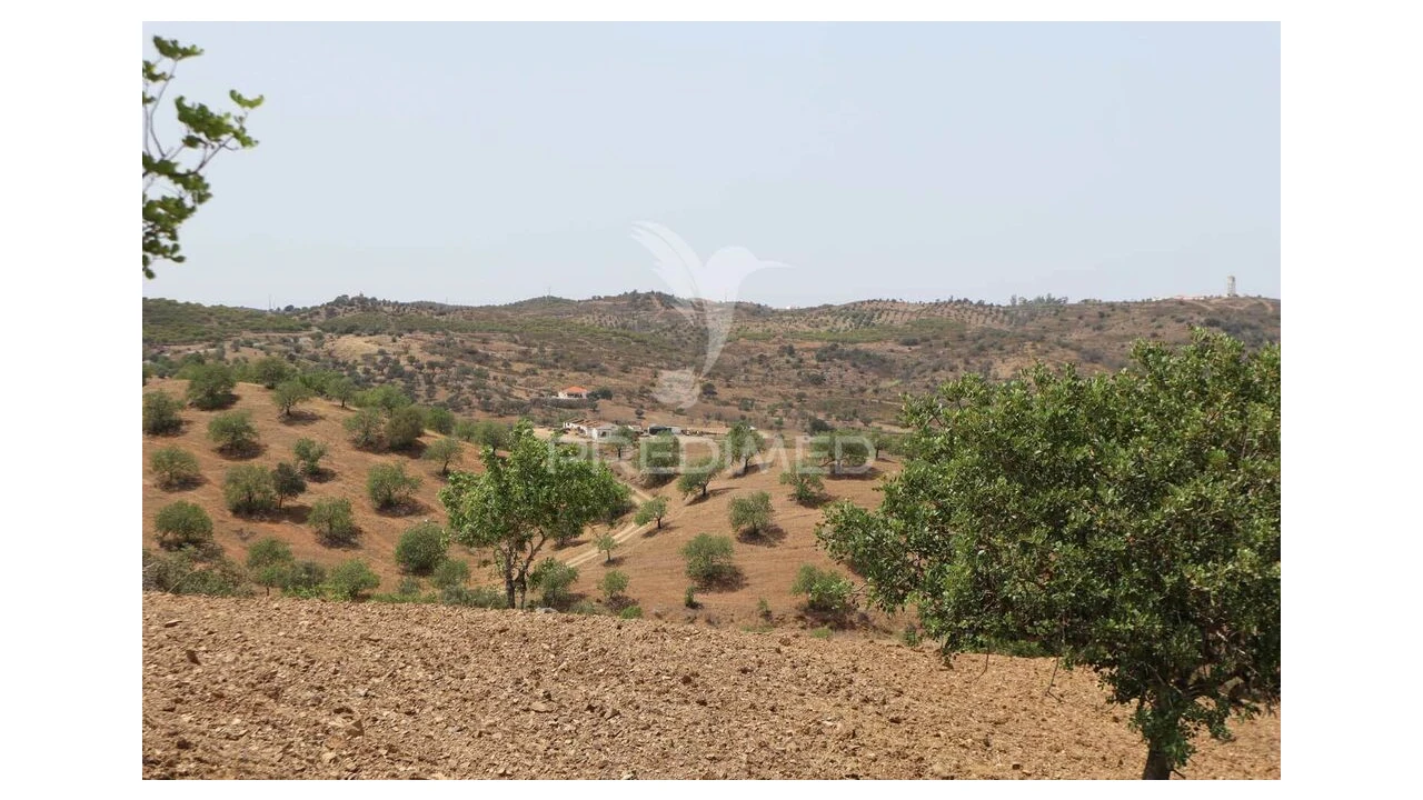 Terreno para Venda em Castro Marim Foto 9