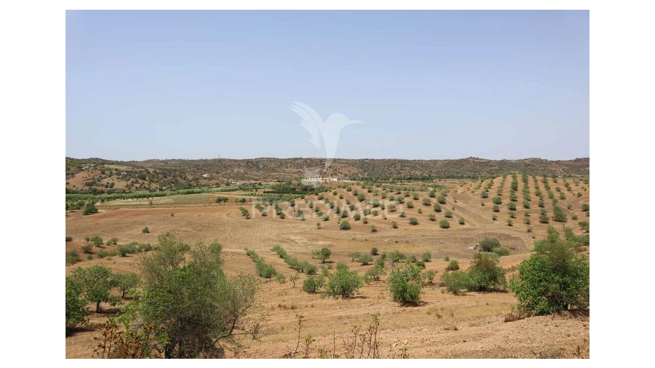 Terreno para Venda em Castro Marim Foto 20