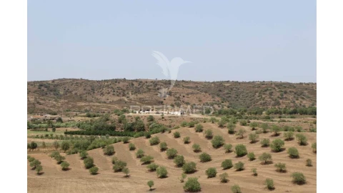 Terreno para Venda em Castro Marim