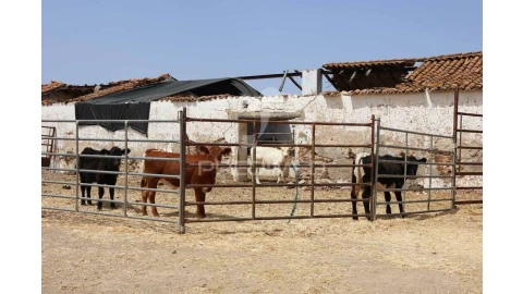 Terreno para Venda em Castro Marim