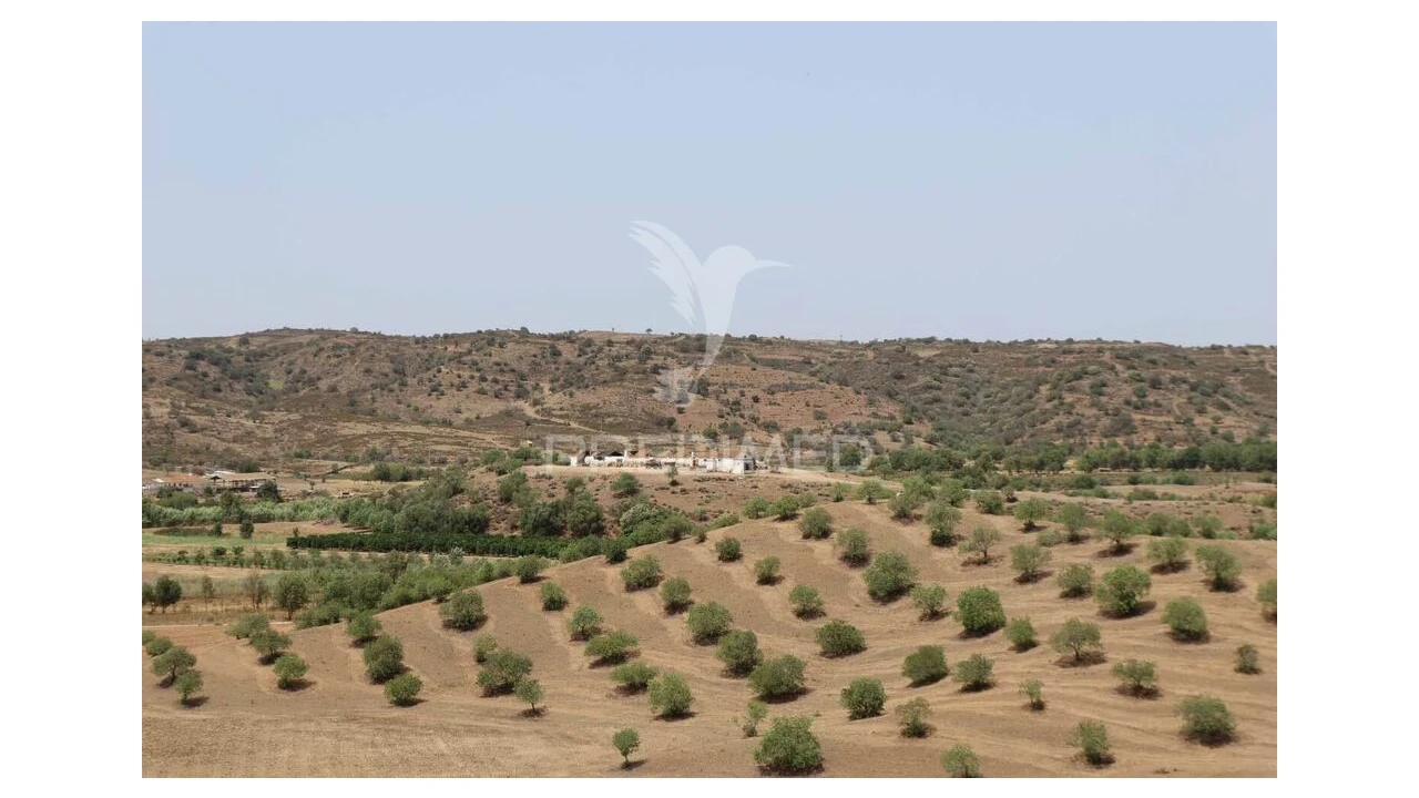 Terreno para Venda em Castro Marim Foto 8