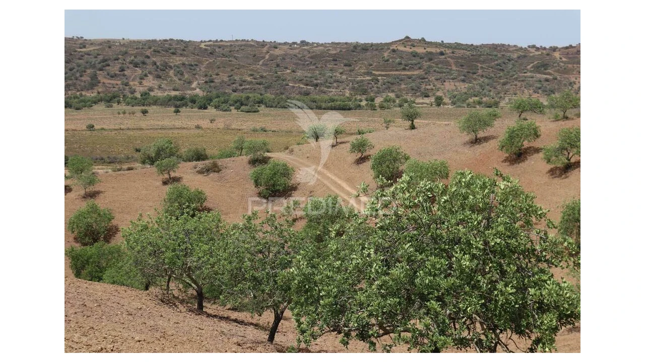 Terreno para Venda em Castro Marim Foto 15